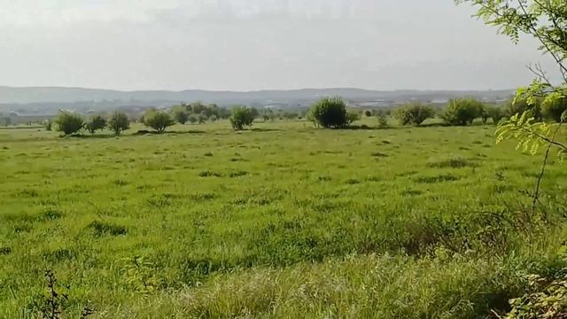 11 Туркестанская область с Байтерек 26 04 2024 60FPS 2K 1080p