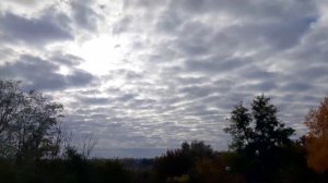 Пруд с островком. Водный сад на территории зоны отдыха компании ВЭЛДБОР.