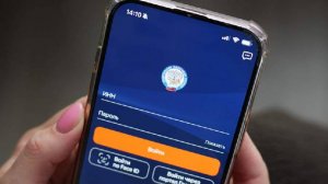 Россиянам назвали порядок действий при подозрении на ошибку в налогах