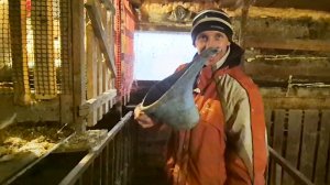 Жизнь простой семьи в Деревне,У меня получилось,Мы не стой планеты,погода Даёт жару