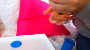 ЛИЗУНЫ ПРОТИВ ГОВОРЯЩЕГО КОТЕНКА ! СЪЕДОБНЫЙ  ЛИЗУН ?