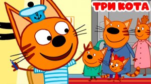 ТРИ КОТА - Котики снимаю мультик - ТРИ КОТА ДЛЯ ДЕТЕЙ