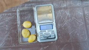 Новинки 2025г. Фан-фан, Макфур, Красное яблоко, Жëлтая река и др.