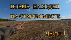 ПОЛЕ, КОТОРОЕ СТАНЕТ ЛЕГЕНДОЙ. ПОИСКИ МОНЕТ. ЧАСТЬ 1. НАШЁЛ ЦАРСКИЕ!