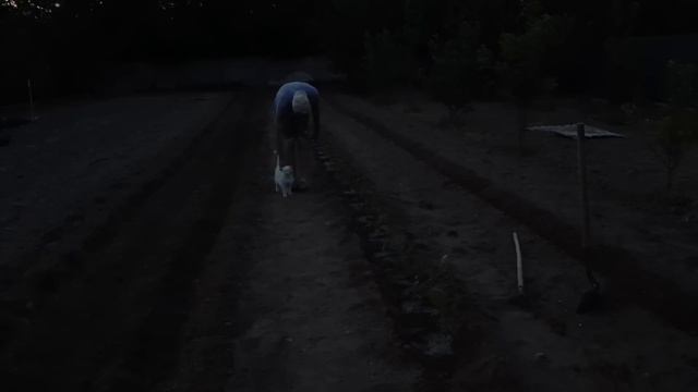 Таймлапс: Сажаем огород! Быстрая посадка овощей смотреть онлайн