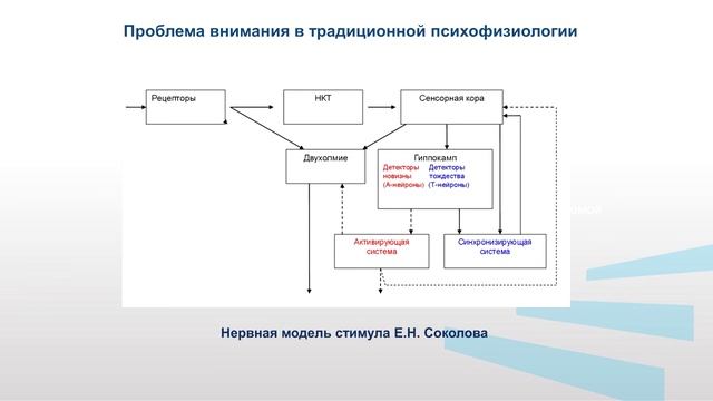 Гладкова Модуль 1   Лекция 4