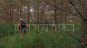 Бесплатные участки многодетным семья и семьям участников СВО дали в непролазном лесу