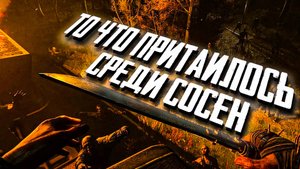 Dying Light The Beast. ТО, ЧТО ПРИТАИЛОСЬ СРЕДИ СОСЕН. часть 5