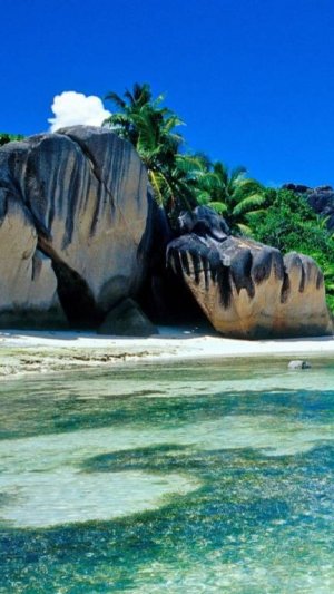 MovaviClips_Video_10