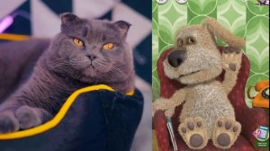 ГОВОРЮ С БЕНОМ | ГОВОРЯЩИЙ БЕН ЛЮБИТ МЕНЯ !? ОН РАССКАЗАЛ ПРАВДУ о ВИКЕ!