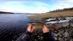 Рыбалка на реке Нижняя Тунгуска, ловля хариуса, экстрим. Часть 1.