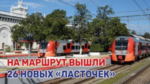 Передвигаться между Сочи и Сириусом стало гораздо удобнее
