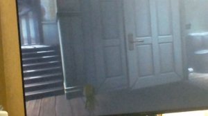 Little nightmares 1
повора