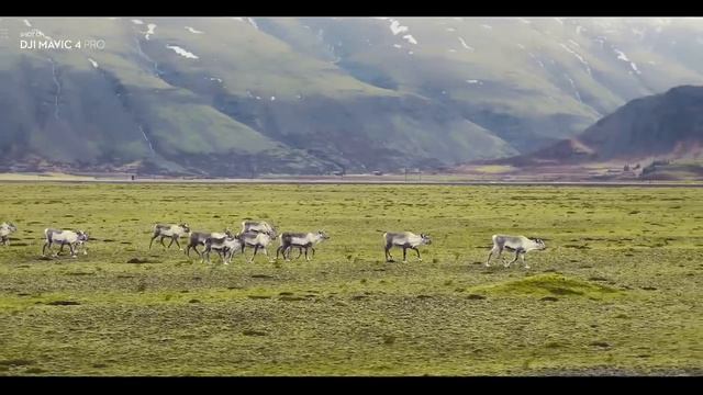 Норвегия, Лофотенские острова с дрона, промо-ролик от производителя Мавиков смотреть онлайн