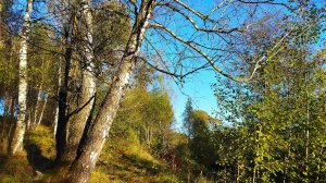 Прогулка 30 сентября