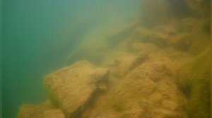 Подводные истории! #маска #нырять