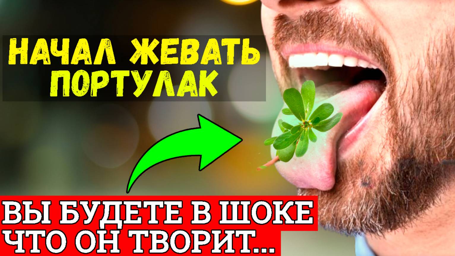 Даже 2 Листочка Портулака …В Аптеке об Этом не Расскажут. Лечит даже…..