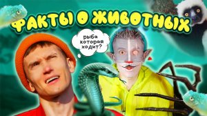 КОТ УЧЁНЫЙ | ФАКТЫ О ЖИВОТНЫХ