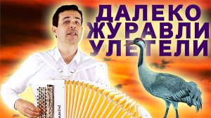 Песня тронула до глубины души. Далеко журавли улетели (Духовная песня)