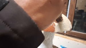 покраска гриба из  цемента