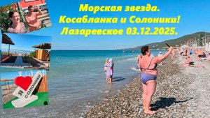 Морская звезда, Касабланка  и Солоники! Лазаревское 03.10.2025. Лето продолжается!