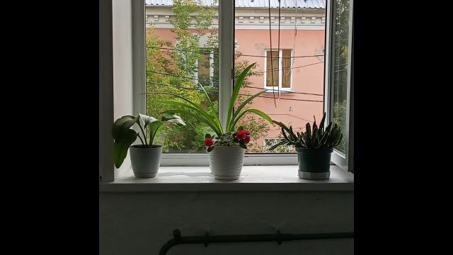 Чистый подъезд -комфортный дом ДО/После