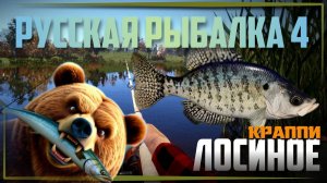 РР4. Лосиное. Ловля зачётных Краппи.