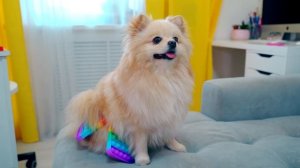 Одежда из ПОП ИТ для Кошечки Баттерс и Собачки Элис | ПЛАТЬЕ из POP IT