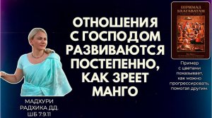Отношения с Господом развиваются постепенно, как зреет манго. Мадхури Радхика дд. ШБ 7.9.11