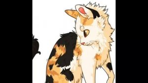 Эдит котам-воителям