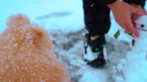 ШПИЦ СБЕЖАЛ от ХОЗЯЙКИ | СОБАЧКА ЭЛИС ГУЛЯЕТ по ПЕРВОМУ СНЕГУ на УЛИЦЕ | РЕАКЦИЯ НА СНЕГ -ОНА В ШОКЕ