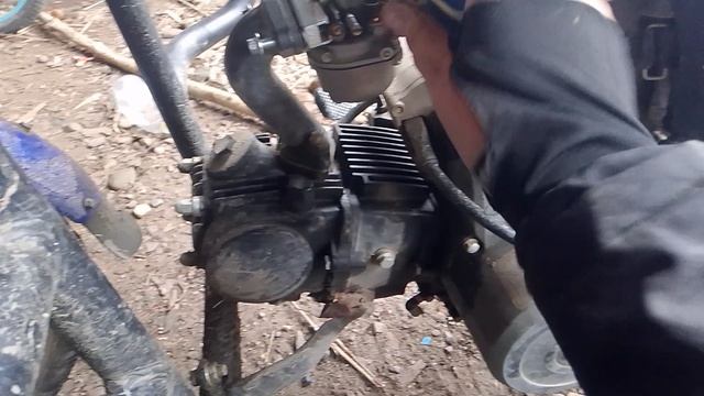 1000033442.mp4 смотреть онлайн