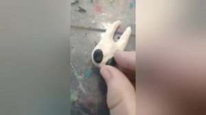 описание съел жук