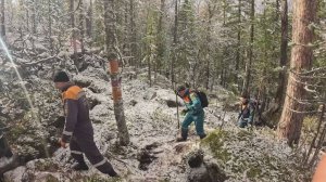 Поиски пропавшей семьи продолжаются в Красноярском крае