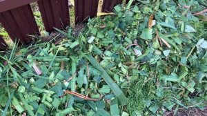 Органика на земле. Природное земледелие.