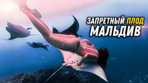 #62 Дикие Мальдивы! Локальные острова Fehendhoo и Fulhadhoo, настоящий рай для туриста.