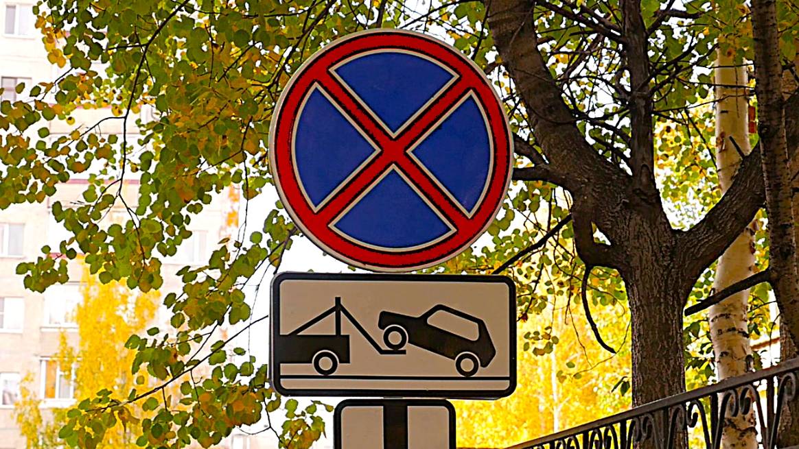 Большая область | 04.10.2025