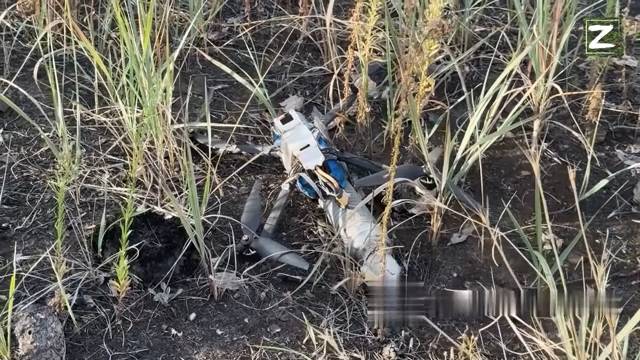 Свиньи в разработке, жесткий накат на позиций наёмников, СВО смотреть онлайн