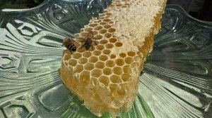 Развенчаем мифы о меде с астраханским пчеловодом Виссарионом Вайчулисом