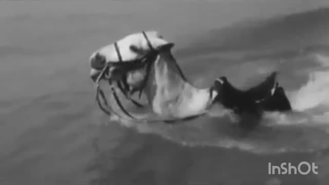 МОЙ КОНЬ (Уходили мы из Крыма) смотреть онлайн