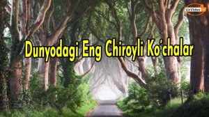 Dunyodagi Eng Chiroyli Ko’chalar - Shambles, Shteyner, Kaminito, Lombard strit, Yelisey maydoni !!!
