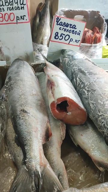 Белгород. Цены на рыбу и морепродукты в Торговом Центре. Октябрь 2025 год. смотреть онлайн