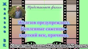 Железов предупреждает. Купленные саженцы - корткий век, причины.