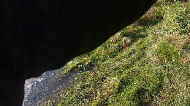 Рыбалка в городской черте.Ловля на джиг и отводной