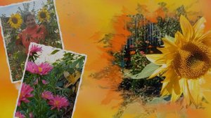 Прощальный рай