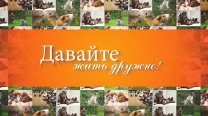 Основы воспитания щенка, интересная гостиница для четвероногих и новые правила выгула