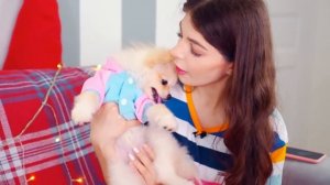 КАК ПОМЕНЯЛАСЬ ЭЛИС ЗА ОДИН ГОД