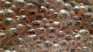 Коврижки из варенья