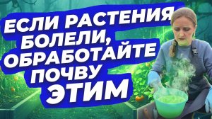 ОБРАБОТКА ПОЧВЫ ПОСЛЕ РАЗЛИЧНЫХ ЗАБОЛЕВАНИЙ