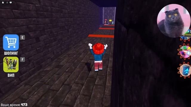 Убегаю от ПЛАЧУЩЕГО ТУНГ ТУНГ САХУРА и БАЛЕРИНО КАПУЧИНО  в РОБЛОКС | Roblox